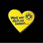 BvB Lovers Profile Picture