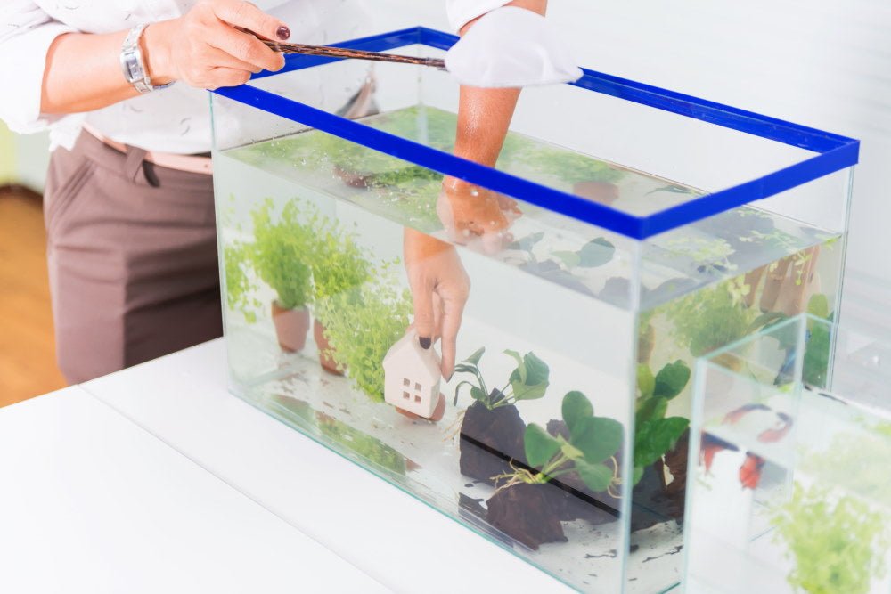 New Fish Checklist: How to Set Up a Fish Tank for Beginners – Aquarium Co-Op