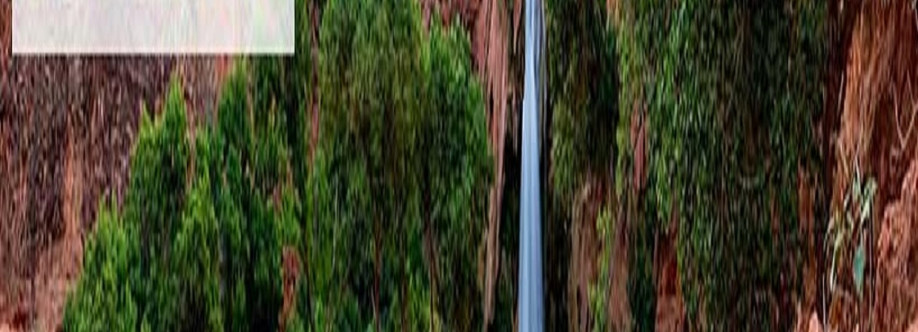 Desert Cove Recovery Cover Image