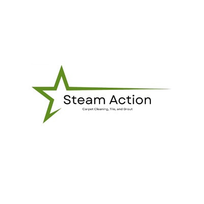 Steam Action Carpet Cleaning Profile Picture